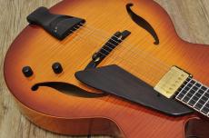 D'Aquisto DQ-JZ  Jazz Line_9