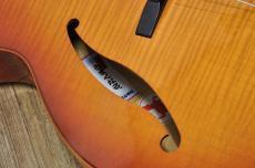 D'Aquisto DQ-JZ  Jazz Line_11