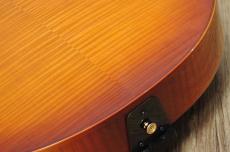 D'Aquisto DQ-JZ  Jazz Line_12