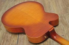 D'Aquisto DQ-JZ  Jazz Line_13