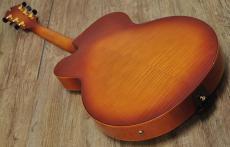 D'Aquisto DQ-JZ  Jazz Line_14