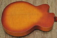 D'Aquisto DQ-JZ  Jazz Line_15