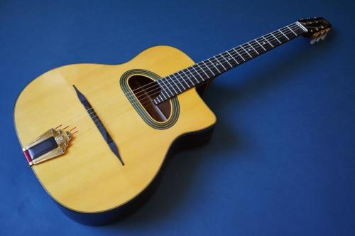 Stringphonic Advanced 14D