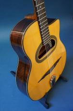 Stringphonic Advanced 14D_3