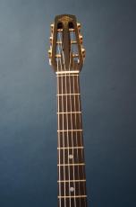 Stringphonic Advanced 14D_5