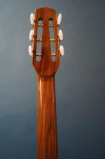 Stringphonic Advanced 14D_6