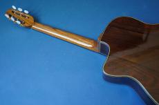 Stringphonic Advanced 14D_9