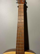 Martin D-X2E MAH 【コスパの超新星爆発】#3043059_3