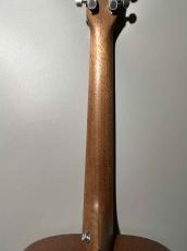 Martin D-X2E MAH 【コスパの超新星爆発】#3043059_4