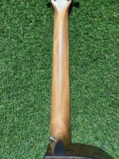 Martin Martin GPC-X2E Ziricote 【サペリの抱擁】#3041493_4