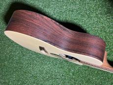 Martin Martin GPC-X2E Cocobolo 【未来の森を歌い、今のステージを燃やす】#3041487_9