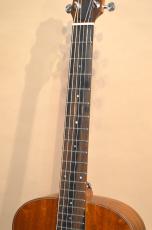 Taylor GS Mini-e Mahogany　2021年製_3