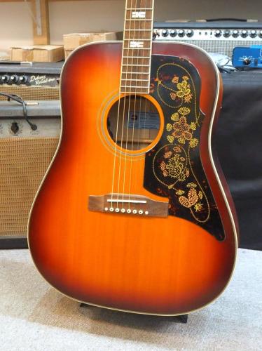 Epiphone Masterbilt Frontier FT110