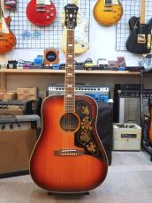 Epiphone Masterbilt Frontier FT110_9