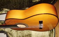 Juan Hernandez  ホアン・エルナンデス Flamenca Profesional 　最高級機種_6