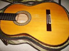 Juan Hernandez  ホアン・エルナンデス Flamenca Profesional 　最高級機種_11