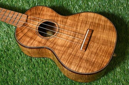 Palm Tree Concert Hawaiian Koa【USED】