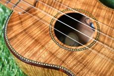 Palm Tree Concert Hawaiian Koa【USED】_10