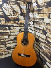 YAMAHA ヤマハ GC42S 松・マダガスカルローズウッド【日本総本店2F 在庫品】