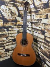 Cordoba コルドバ  Friedrich【日本総本店2F在庫品】