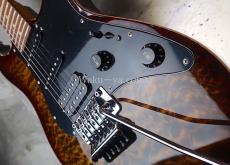 Suhr Standard Bengal Burst w/ Binding_4