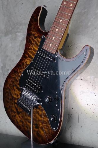 Suhr Standard Bengal Burst w/ Binding