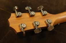 Taylor 224ce-K DLX_6