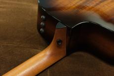 Taylor 224ce-K DLX_7