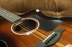 Taylor 224ce-K DLX_8