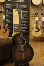 Taylor 224ce-K DLX_9