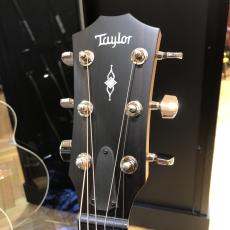 Taylor 314ce_3