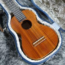 Kamaka HF-2_3