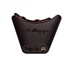 L.R.Baggs Session VTC_2