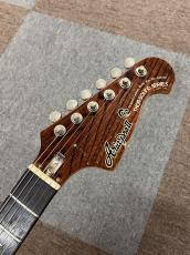 Aria Pro II TS-500_4