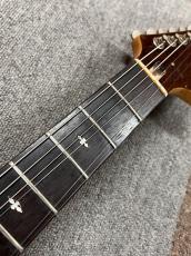 Aria Pro II TS-500_7