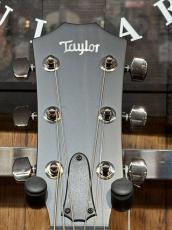 Taylor 【4/30迄!当店オーダーモデル】Custom 414ce V-Class Adirondack spruce Top #1205025051_5