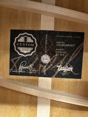 Taylor 【当店カスタムオーダー品】CTM 314ce Mahogany Side&Back_5