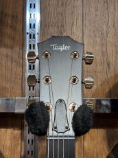 Taylor 【当店カスタムオーダー品】CTM 314ce Mahogany Side&Back_7