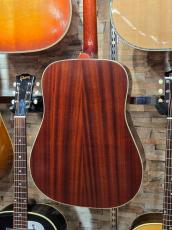 Epiphone Hummingbird standard Cherry Sunburst【NEWモデル】【オール単板】_3