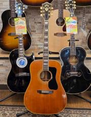 Guild D-55 【1977年製】【無金利分割OK】_2