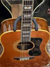 Guild D-55 【1977年製】【無金利分割OK】_5