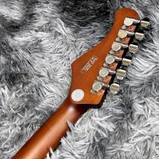 Bacchus BARON-JAZZ BLK-Top -Global Series-【特価】【高級感のあるアーチトップ!】_7