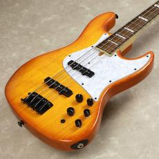 Bacchus STD JB ASH4_2