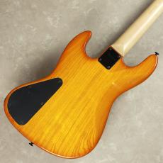 Bacchus STD JB ASH4_6