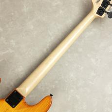 Bacchus STD JB ASH4_9