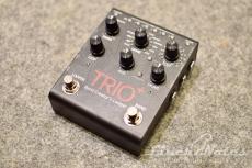 DigiTech TRIO+ w/FS-3X_2