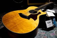 Taylor 312ce / 2015