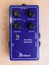 Birdland Acoustic mixer R3