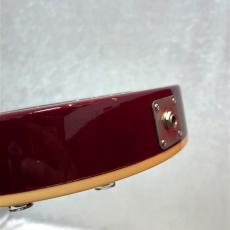 Gibson Les Paul Standard_9