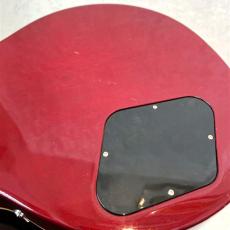 Gibson Les Paul Standard_10